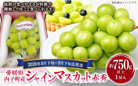内子町産 シャインマスカット 赤秀 1房入 約750g以上[2026年8月下旬〜9月下旬迄発送予定][えひめの町(超)推し!(内子町)](447)