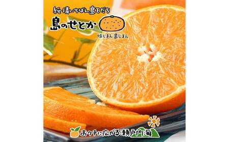 [希望の島] せとか 特選品 中玉 2kg 愛媛県 松山市 中島産 柑橘 贈答用 果物 くだもの フルーツ デザート 国産 常温 [2026年3月上旬〜3月下旬迄順次発送予定](1019)