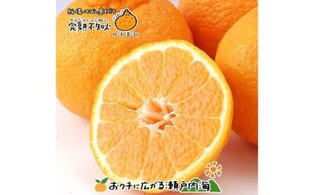 [希望の島] 完熟不知火 特選品 大玉 2kg 愛媛県 松山市 中島産 不知火 しらぬい 柑橘 贈答用 果物 くだもの フルーツ デザート 国産 常温 [2026年4月上旬〜5月下旬迄順次発送予定](1020)