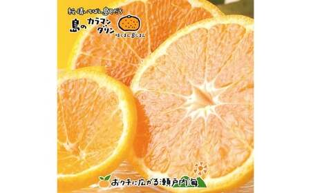 [希望の島] 完熟春みかん (カラマンダリン) 特選品 中玉 2kg 愛媛県 松山市 中島産 みかん ミカン 柑橘 贈答用 果物 くだもの フルーツ デザート 国産 常温 [2026年5月上旬〜5月下旬迄順次発送予定](1023)