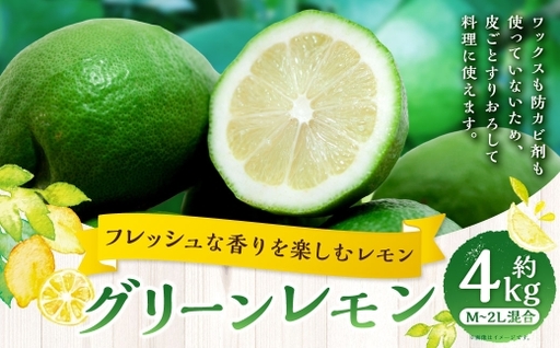 [ フレッシュな香りを楽しむ青いレモン ] グリーンレモン 約4kg れもん 檸檬 柑橘類 柑橘系 柑橘 くだもの 果物 フルーツ 果実 果汁 果肉 国産 愛媛県産 グリーン [ 2026年9月下旬〜11月下旬発送予定 ] ( 1042 )