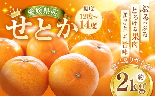 せとか 約2kg みかん ミカン 蜜柑 柑橘 柑橘系 柑橘類 くだもの 果物 フルーツ 果実 果汁 果肉 国産 愛媛県産 愛媛みかん 濃厚 爽やか 香り [2027年2月下旬-4月下旬発送予定] ( 1117 )
