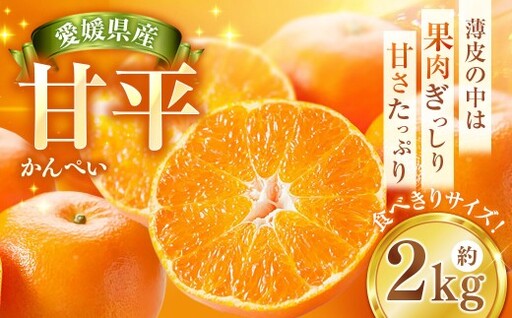 甘平 約2kg みかん ミカン 蜜柑 柑橘 柑橘系 柑橘類 くだもの 果物 フルーツ 果実 果汁 果肉 国産 愛媛県産 愛媛みかん かんぺい 果肉感 [2027年2月下旬-4月下旬発送予定] ( 1118 )