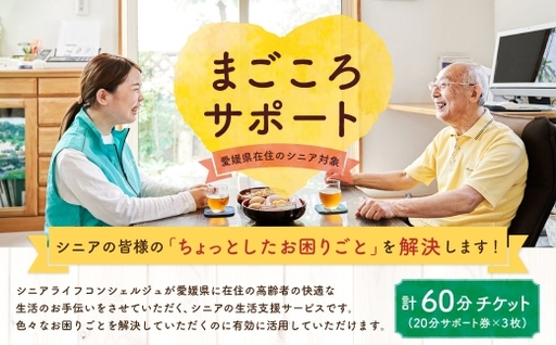 まごころサポート 計60分 チケット ( 20分サポート券 × 3枚 ) サポート チケット 券 サポートチケット サポート券 生活支援サービス 生活支援 サービス シニア 高齢者 コンシェルジュ ( 1026 )