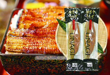 高知県産うなぎ蒲焼き 2尾セット