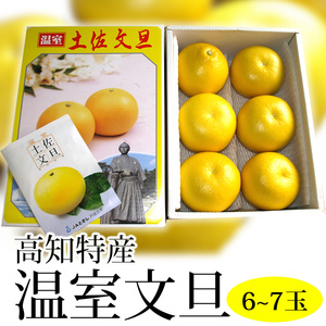 温室文旦 3kg・6〜7玉[期間限定品]