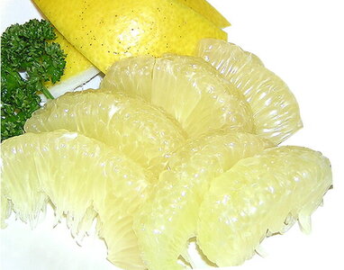 yC06038zmY yU 10kgyƒpzmԌin