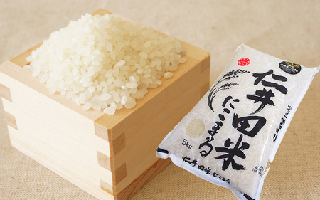 仁井田米 にこまる 5kg ※令和7年産