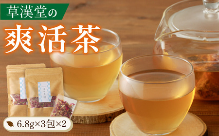 草漢堂の爽活茶[103S06] 健康茶 薬膳茶 漢方茶 ブレンドティー ハーブティー ハッカ マイカイカ
