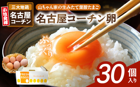 [山ちゃん家の生みたて葉酸たまご]名古屋コーチン卵(30個入り)[132Y01] 新鮮たまご 産地直送 大容量 高級 地鶏 卵 玉子 タマゴ 葉酸 妊娠中 高齢者 朝食 料理 卵かけご飯 卵焼き 目玉焼き 山田養鶏 お取り寄せグルメ