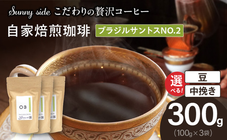 yґR[q[zuSunny sidev̎uWTgXNO.2i300gj[137S11]