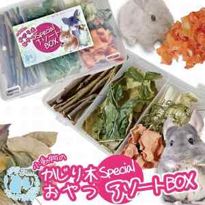 fuu 小動物のかじり木・おやつ SpecialアソートBOX(1個)[145S10]