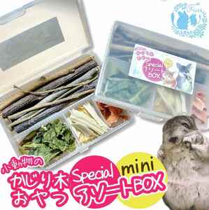 fuu 小動物のかじり木・おやつ SpecialアソートBOX mini(1個)[145S12]