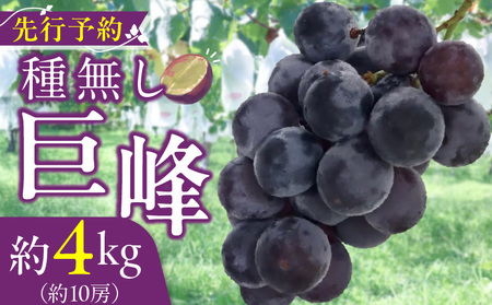 햳 4kgi10[j 2026N s\ ȂԂǂ [098O04]