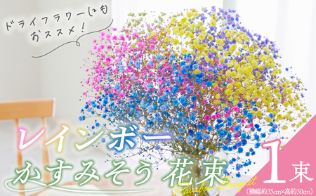 [佳花園]レインボーかすみそう 花束[156K03]