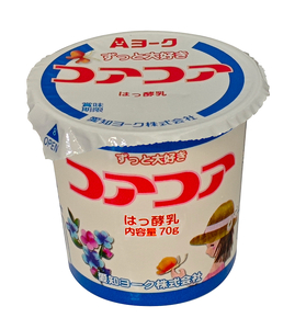 【6ヶ月定期便】愛知ヨーク　コアコアヨーグルト　20個入［108A02-T］