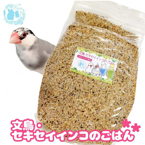 [3ヶ月定期便]fuu 文鳥・セキセイインコのごはん(400g)[145S44-T]