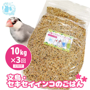 【3ヶ月定期便】fuu 文鳥・セキセイインコのごはん（10kg）［145S48-T］