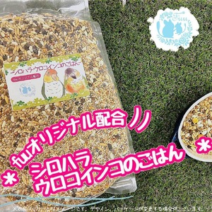[3ヶ月定期便]fuu シロハラインコ・ウロコインコのごはん(400g)[145S56-T]