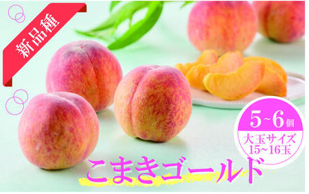 こまきゴールド(期間限定・数量限定)黄桃 新種黄桃 希少黄桃 早生黄桃 大玉黄桃[011O02]