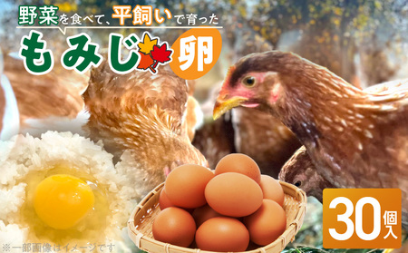 [医師監修]野菜を食べて育った平飼いの卵「もみじ卵」(30個入り)[154T02]