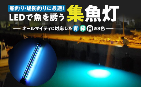 船釣り・堤防釣りに最適!LEDで魚を誘う