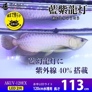 スリム&高耐久!金龍を美しく、UV-Aチップ配合の水中LED