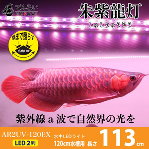 水中から直接照射可、UV-A搭載のアロワナ用LEDライト