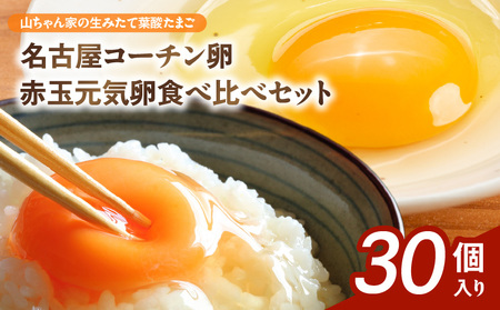 [山ちゃん家の生みたて葉酸たまご]名古屋コーチン卵・赤玉元気卵 食べ比べセット(各15個 合計30個入り)[132Y09]山ちゃん家 生みたて 葉酸たまご 名古屋コーチン 赤玉元気 食べ比べ セット 各 15 合計 30 入り 地鶏 朝食 卵焼き 目玉焼き オムライス ゆでたまご 山田養鶏 お取り寄せ 愛知県 小牧市 送料無料