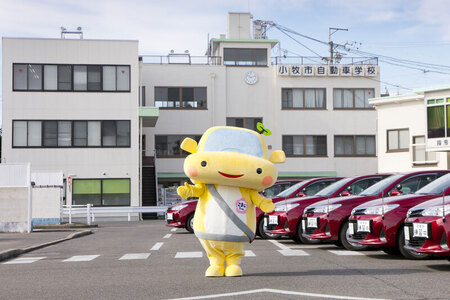 小牧市自動車学校の高齢者講習2時間講習(実車指導有)チケット [186A01] 小牧市自動車学校 高齢者 2時間 実車指導有 チケット 1枚 認定 座学 適性検査 コース走行 ドライバー 免許更新 交通安全 安全運転 自動車学校 認定教育 愛知県 小牧市 送料無料
