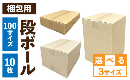 梱包用段ボール 100サイズ 10枚 [206A02] 梱包用 段ボール セット 選べる サイズ 規格 コンパクト 扱いやすい 段ボール箱 衣類 収納 片付け 整理 DIY 工作 荷物 引っ越し 防災 備蓄 便利 フリマ 通販 配送 荷造り お取り寄せ 愛知県 小牧市 送料無料