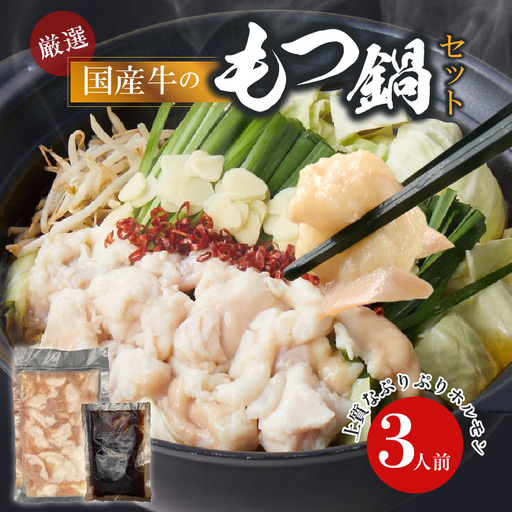 [食肉総合卸 丸正]厳選国産牛のもつ鍋セット(3人前) [153M16]