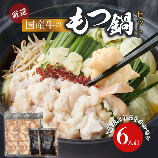 【食肉総合卸 丸正】厳選国産牛のもつ鍋セット（6人前） ［153M17］ 