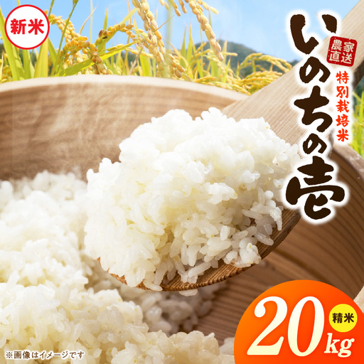 【R8年産新米 先行受付】特別栽培米「いのちの壱」（20kg）＜農家直送＞ ［208K04］ 希少米 20kg 米 新米 精米 白米 ご飯 国産 産地直送 甘い 粘り強い もちもち お取り寄せ こだわり米 愛知県 小牧市 送料無料