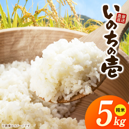R7年産 「いのちの壱」(5kg)[農家直送] [208K09] 希少米 5kg 米 精米 白米 ご飯 国産 産地直送 甘い 粘り強い もちもち お取り寄せ こだわり米 愛知県 小牧市 送料無料