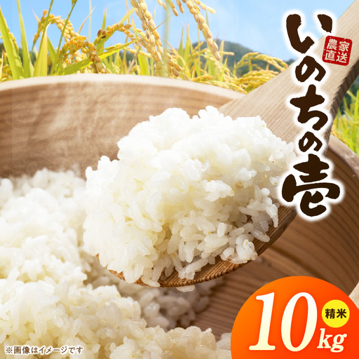 R7年産　「いのちの壱」（10kg）＜農家直送＞ ［208K10］ 希少米 10kg 米 精米 白米 ご飯 国産 産地直送 甘い 粘り強い もちもち お取り寄せ こだわり米 愛知県 小牧市 送料無料