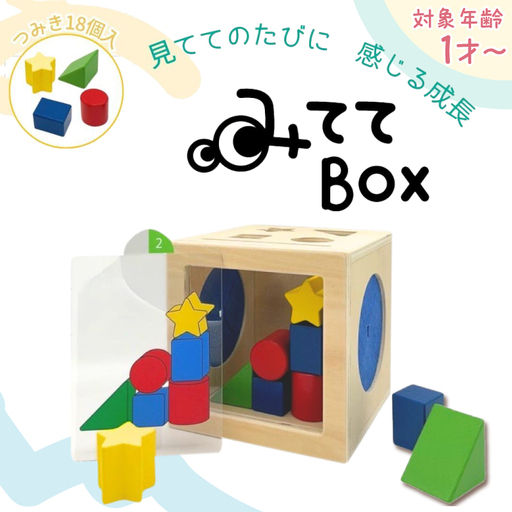 知育玩具 みててBOX ［150A07］ 積み木 円柱 四角 三角 星 シート お手本シート 背景シート ボックス 木 ブラインドボックス 触覚 形当てる チャレンジカード 積み上げ 創造力 学び わくわく 愛知県 小牧市 送料無料