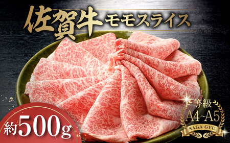 ꋍXCX500g / ꌧ / yًGy [41AABE017]