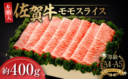 ꋍXCX400g / ꌧ / yًGy [41AABE019]