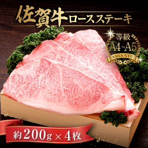 ꋍ[XXe[L v800gi200g×4j / ꌧ / yًGy [41AABE025]