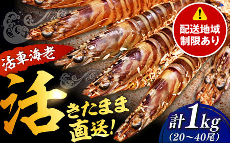 znywK{zԊCVi{Bj v1kgi20-40j / ꌧ / Б lN}GrZ^[ [41ABAI003]