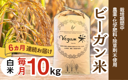 yS6ցzr[K  v60kgi10kg×6j / ꌧ / ЃTKxW [41ANCH008]