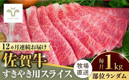 yS12ցzꋍ₫p v12kgi1kg×12ji1j / ꌧ / LЍZgq [41ASAA008]