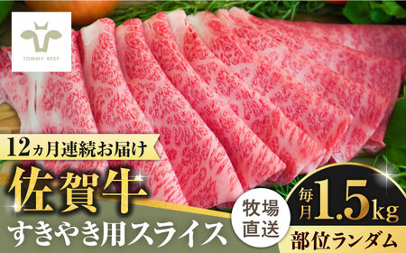 yS12ցzꋍ₫p v18kgi1.5kg×12ji1j / ꌧ / LЍZgq [41ASAA012]