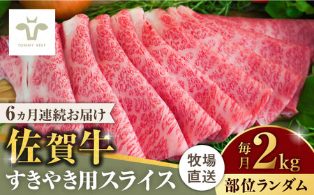 yS6ցzꋍ₫p v12kgi2kg×6ji1j / ꌧ / LЍZgq [41ASAA015]