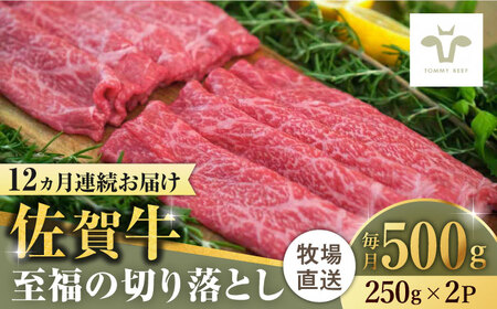 yS12ցzꋍ̐؂藎Ƃ v6kgi250g×2×12j / ꌧ / LЍZgq [41ASAA020]