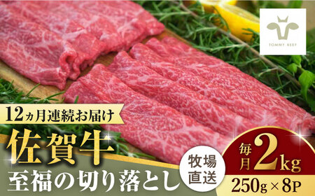 yS12ցzꋍ̐؂藎Ƃ v24kgi250g×8×12j / ꌧ / LЍZgq [41ASAA032]
