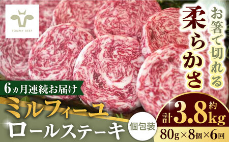 yS6ցz~tB[[Xe[L v3.84kgi80g×8×6j / ꌧ / LЍZgq [41ASAA035]