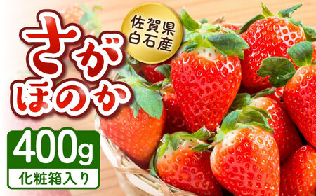 [2026年発送分 先行予約][化粧箱入り]白石産いちご「さがほのか」400g / いちご いちご いちご いちご いちご いちご いちご / 佐賀県 / 岸川農園 