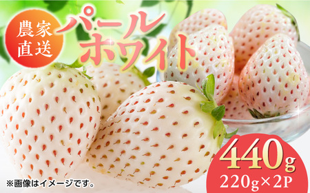 y2026N s\zꌧY p[zCg 220g×2pbN /  ʕ / ꌧ / 킳 [41ASBJ003]